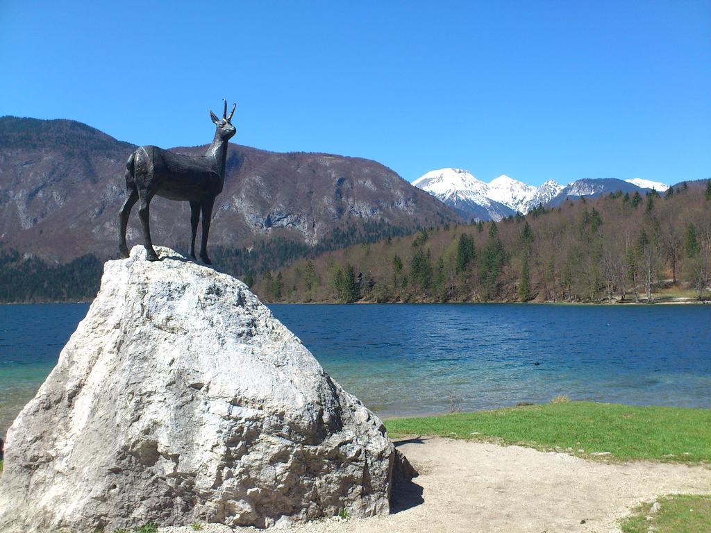 Apartment Bohinjko Buitenkant foto